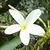 Maryann Thrash's profile image