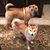 Cindy Bassett's profile image