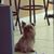 Christy Moreira's profile image