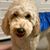 Jill Shane Steinbach's profile image