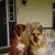 Patricia Stecklein-Callahan's profile image