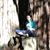 Yep Okeigh's profile image