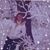Geralyn Quina-Hanna's profile image
