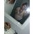 Angelica Dechert's profile image
