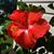Desiree Olewiler's profile image
