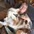 Helen Madsen O'Brien's profile image