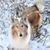 Sarah Hoke's profile image