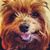 Tisha Hartman's profile image
