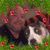 Eric Hursman's profile image