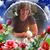 Pat Bartolomei's profile image