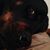 Kristy Miles's profile image