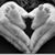 Barby Rice's profile image