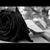 Pineda Yeseniiaa's profile image