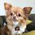 Allison Whitaker's profile image