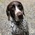 Douglas John Walker's profile image