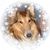 Lynn Kroptavich Beers's profile image