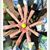 Shannan Fleming Gatewood's profile image