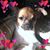 Lorri Grace's profile image