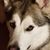 Donald Siller's profile image