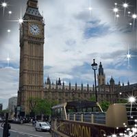 Saima Ahmad's profile image