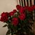 Margarit Petrosyan's profile image