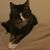 Debbie Fitzgerald's profile image