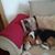 Darlene Clark's profile image