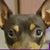 Suzie Harris's profile image
