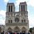 Stephanie Wenz's profile image