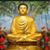 Aman Gupta's profile image