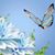 Melissa Richards's profile image
