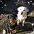 Judy C. Taylor's profile image