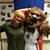 Lori Miller Sanders's profile image