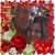 Erin Ereno Miccichi's profile image