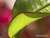 sandra g.'s profile image