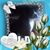Steven Craig's profile image