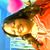 Nadine Newell's profile image