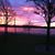 Theresa Cooper Merletti's profile image