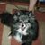 Irene Coer's profile image