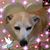 Crystal Loper's profile image