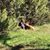 Andrew Bowersox's profile image