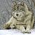 John Clark's profile image