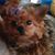 Donna Onxley's profile image
