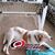 Christopher Clark's profile image