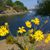 Doretta Weyandt's profile image