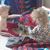 Lisa Whritenour-lockery's profile image