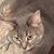 Tia Bat's profile image
