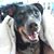 Valerie J Pearl-Hanrahan's profile image