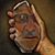 Joe Steigenberger's profile image