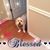 Renae Brook's profile image